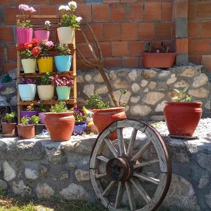 Hotel Yesil Kelebek Ev Kadikoy  Exterior foto